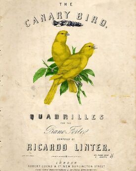 The Canary Bird Quadrilles - For the Pianoforte