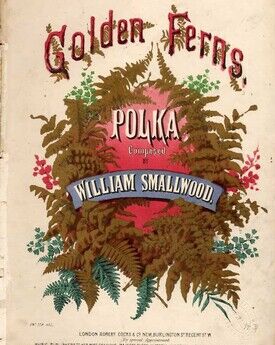 Golden Ferns Ploka - Composed by William Smallwood - For Piano
