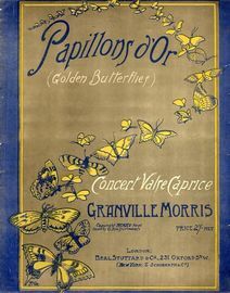 Papillons d'Or (Golden Butterlies) - Concert valse Caprice for Piano Solo