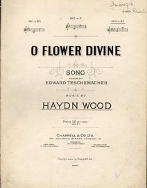 O Flower Divine - Song - In the key of A flat major for high voice
