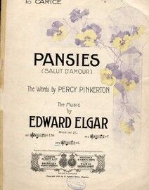 Pansies - Song - Based on Elgar's Salut D'Amour - Key of G major for Medium Voice