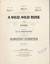 A Wild Wild Rose - Song - In the key of E flat major for high voice