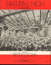Natural High - Recorded by Bloodstone on Decca Records