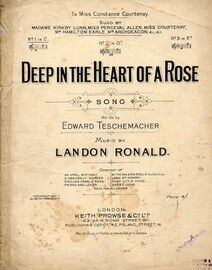 Deep in the Heart of a Rose - Song - In the Key of C Major for Lower Voice
