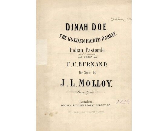 141 | Dinah Doe, The Golden Haired Darkey, Indian Pastorale.