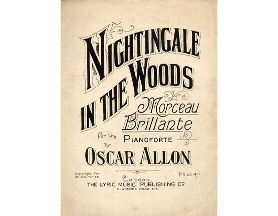 4 | Nightingale In The Woods.