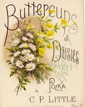 Buttercups &amp; Daisies - Polka