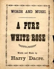 A Pure White Rose - Song