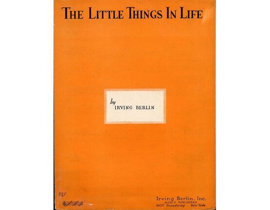 106 | The Little Things In Life - Song with Ukulele or Banjo Chords