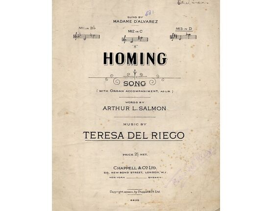 4 | Homing - Song - In the key of D major